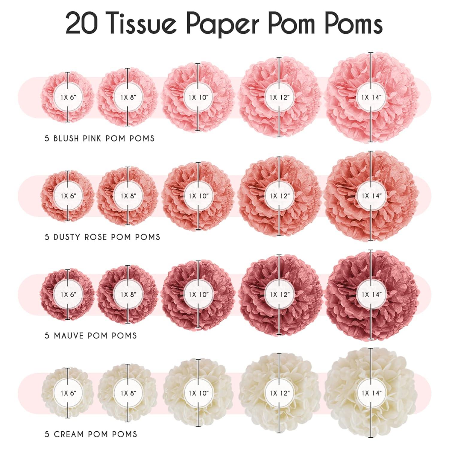 EpiqueOne 20 Piece Tissue Paper Pom Poms Party Kit - Colorful Paper Flower Wall Decorations - Pink Rose