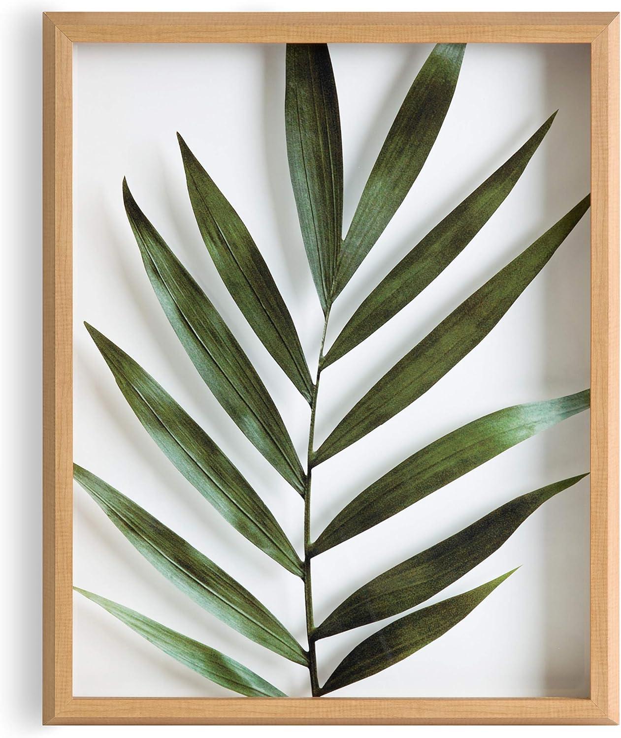 16" x 20" Blake Botanical 5F Framed Printed Glass by Amy Peterson - Kate & Laurel All Things Decor