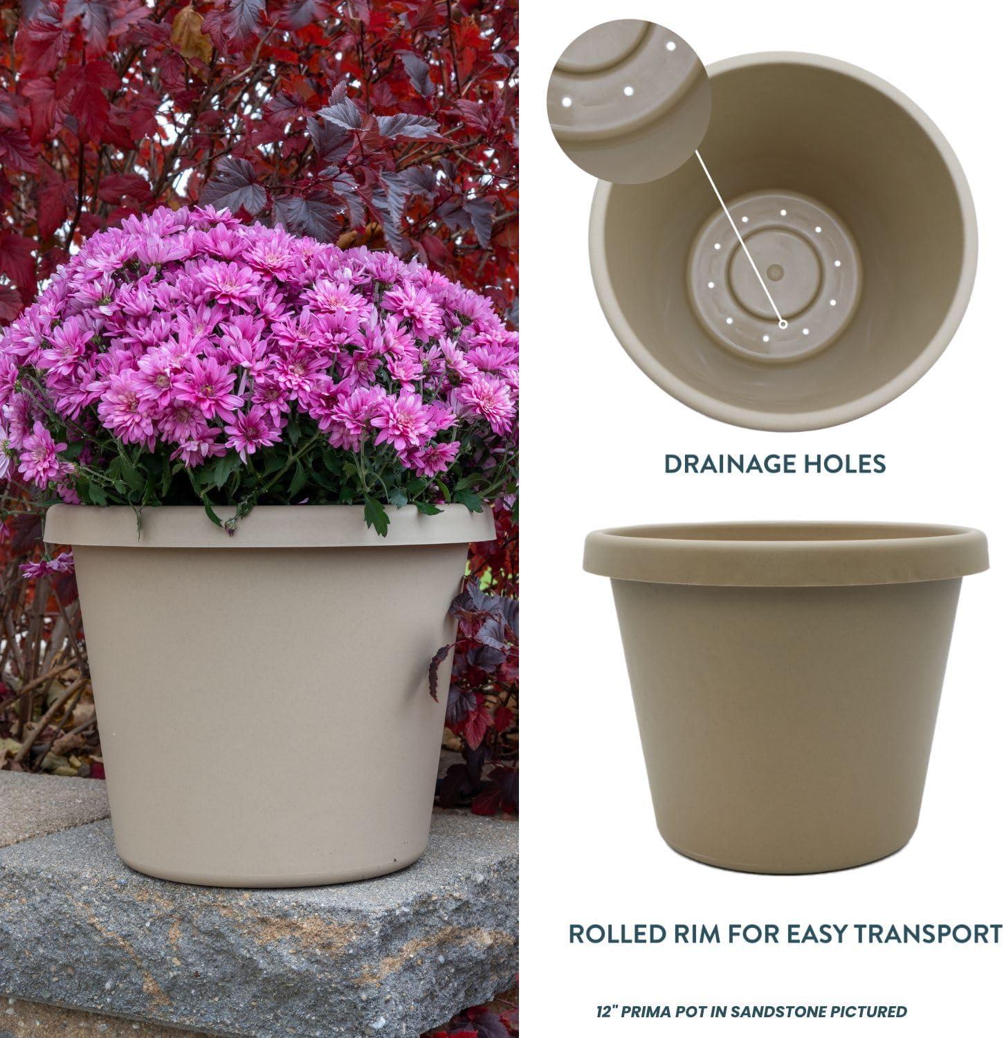 The HC Companies 12 Inch Round Prima Planter - Plastic Plant Pot with Rolled Rim for Indoor Outdoor Plants Flowers Herbs, Sandstone