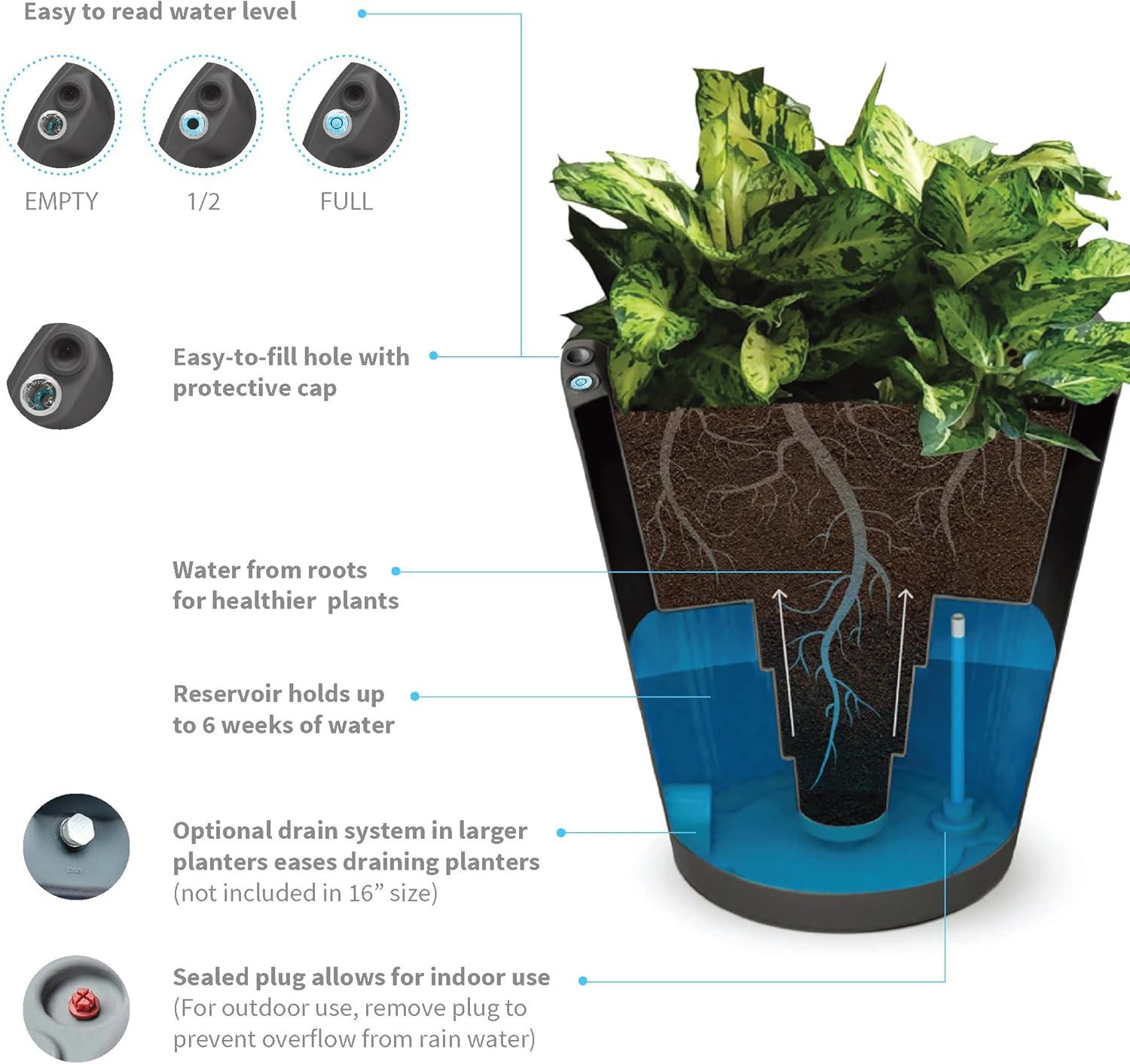 Dot Planter