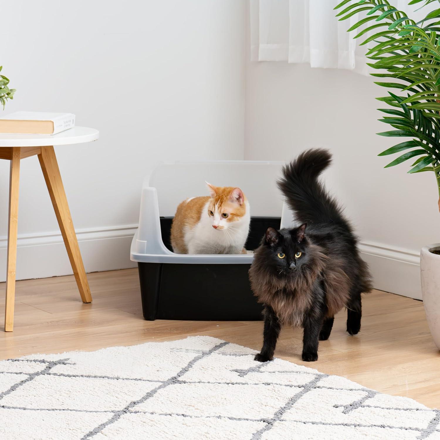 Extra Large Black Plastic Cat Litter Box with Scatter Shield