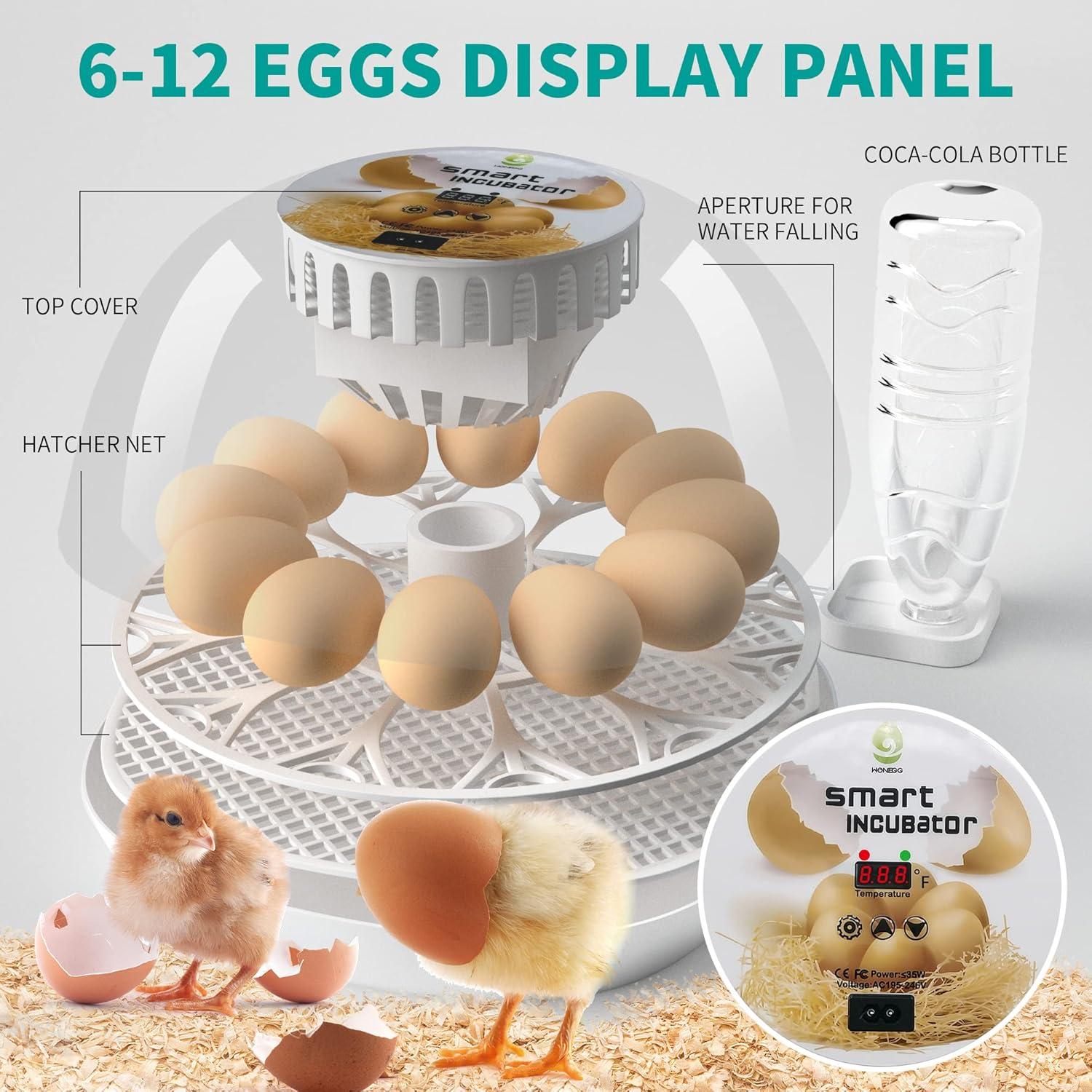 Lreerge Egg Incubator, 12 Eggs Incubator with Automatic Egg Turning, Automatic Water Adding, 360 Degree View, for Hatching Chicken Goose Quail Duck