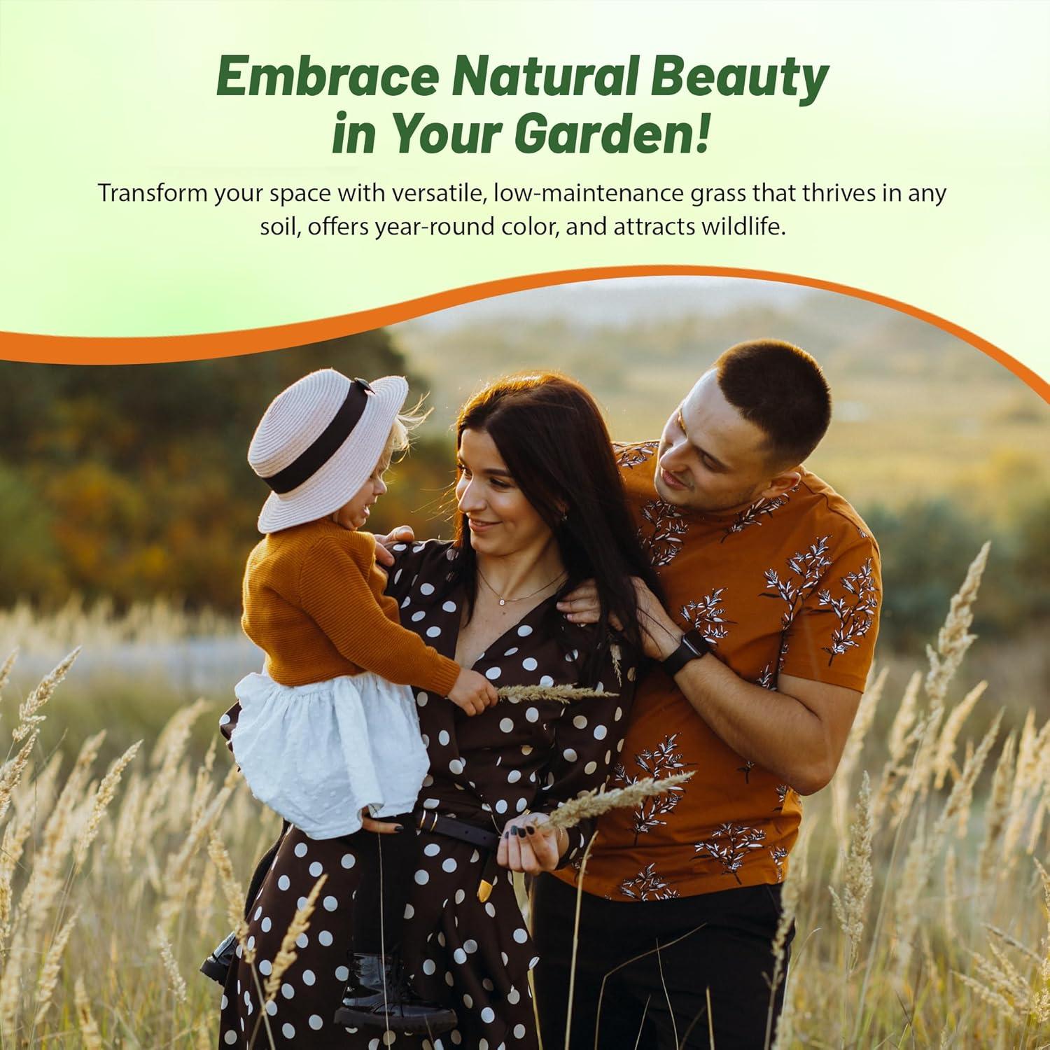 Outsidepride Indian Native Grass Seed - 5 lbs. Perennial, Low Maintenance, Drought-Tolerant Prairie Grass Seed for Wildlife Habitat, Livestock Forage, Ornamental Landscaping & Erosion Control