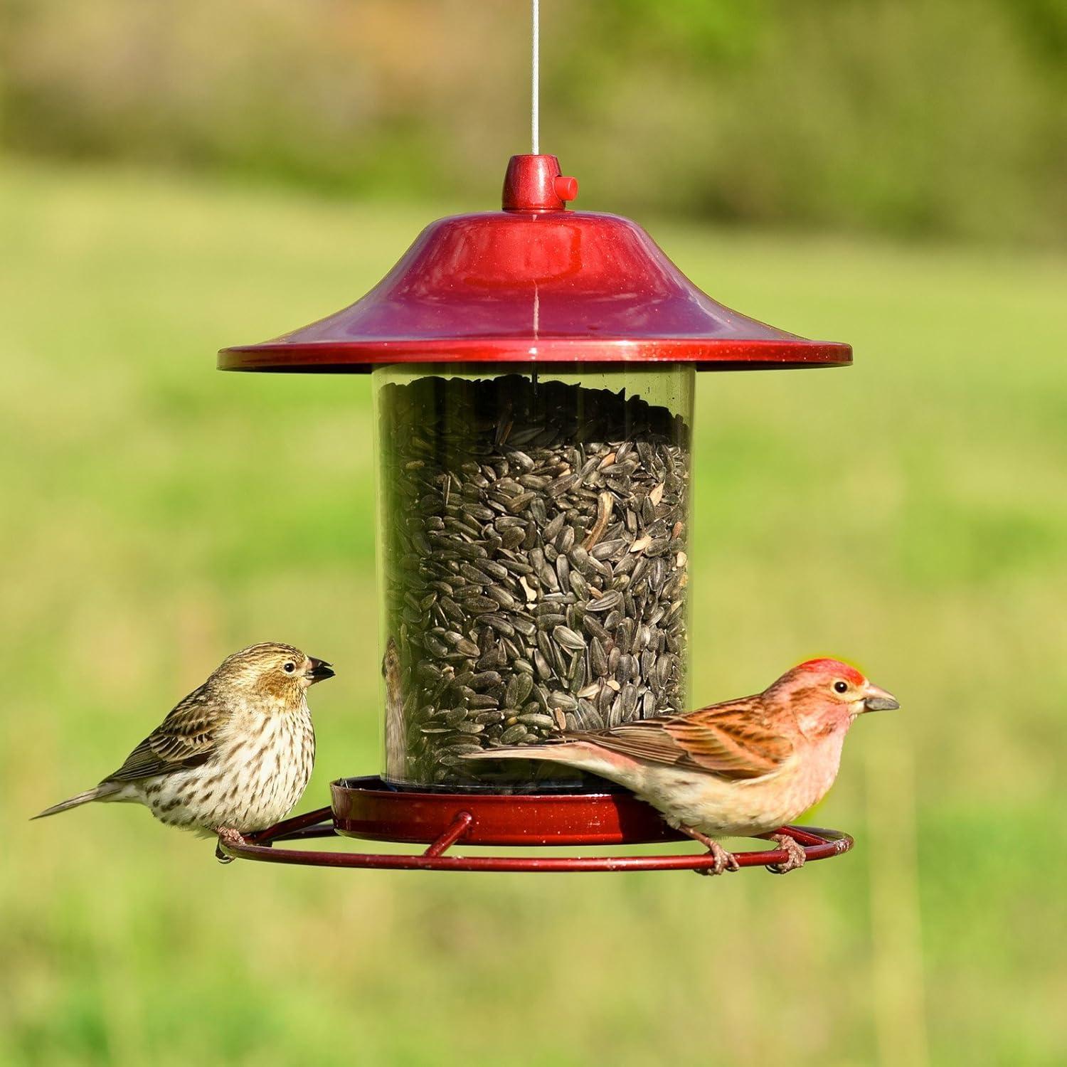 Perky-Pet Wild Bird 2 lb Metal/Plastic Panorama Bird Feeder 1 ports Model No 312R (Case of 2)