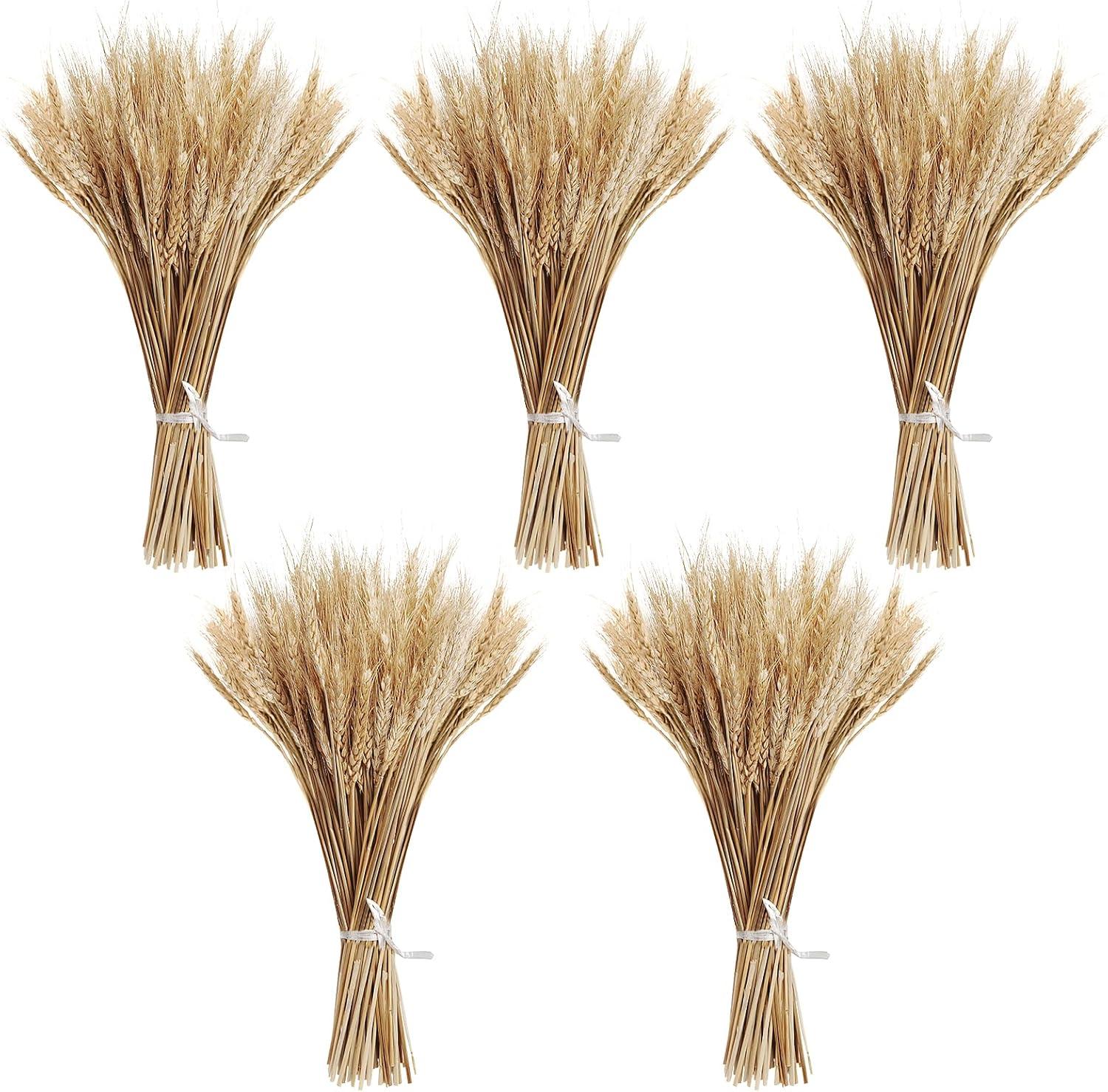 Ophelia & Co. 500PCS Dried Flowers Dried Wheat Stalks for Decor for Home DIY Design Table Centerpieces | Wayfair