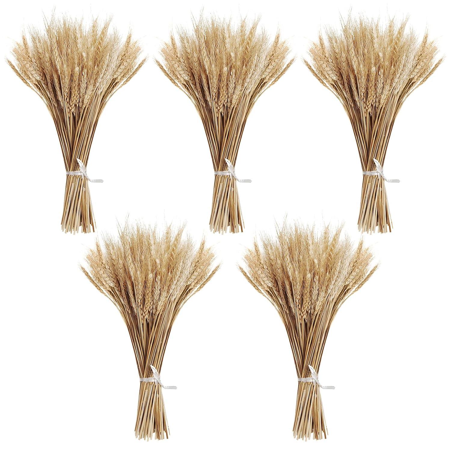 Ophelia & Co. 500PCS Dried Flowers Dried Wheat Stalks for Decor for Home DIY Design Table Centerpieces | Wayfair