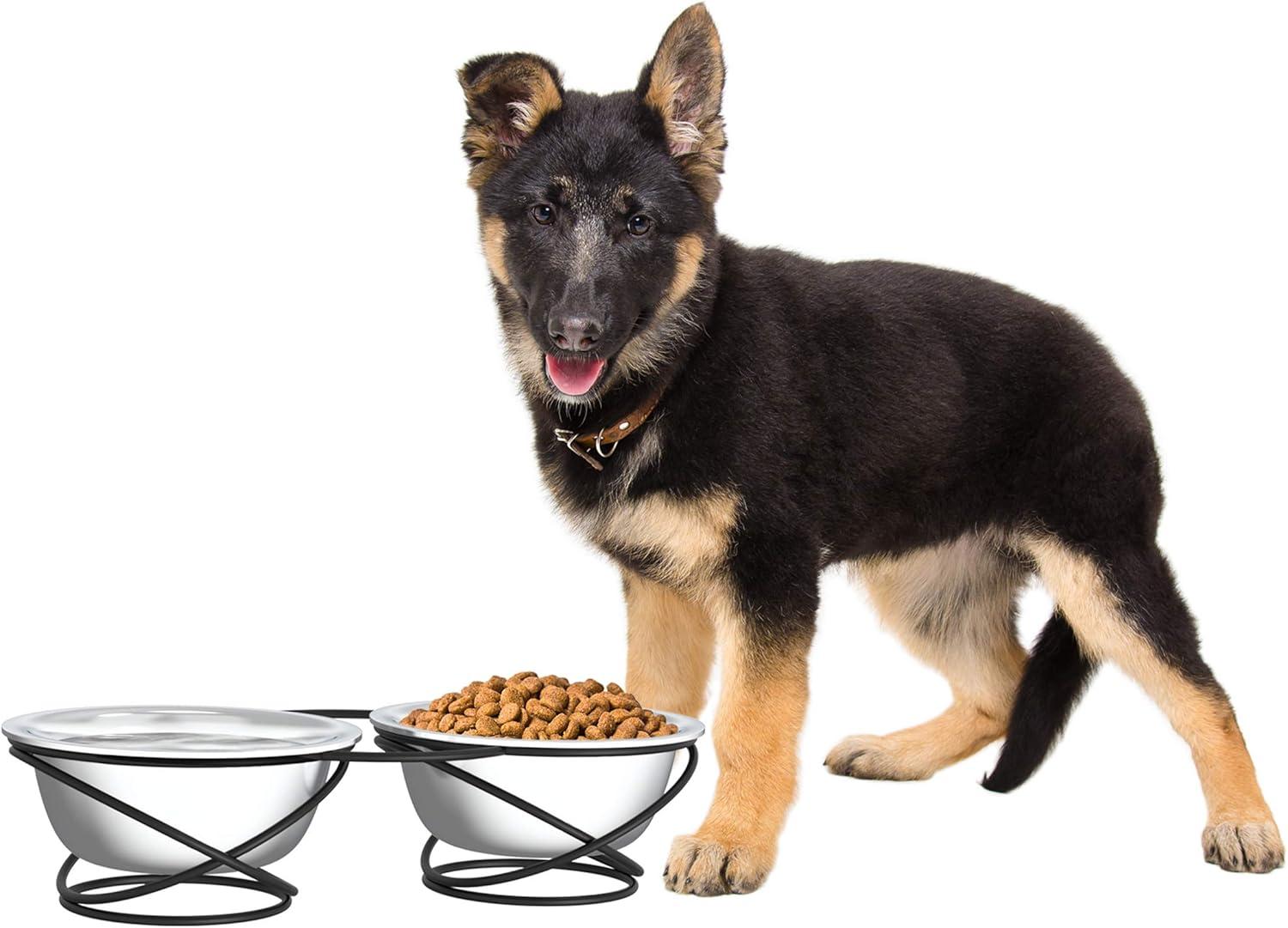 Petmaker PETMAKER Large Elevated Pet Bowls with Stand