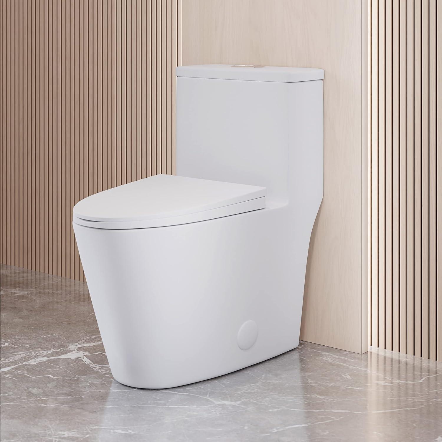 Antibes One Piece Elongated Dual Flush Toilet with 0.95/1.26 GPF