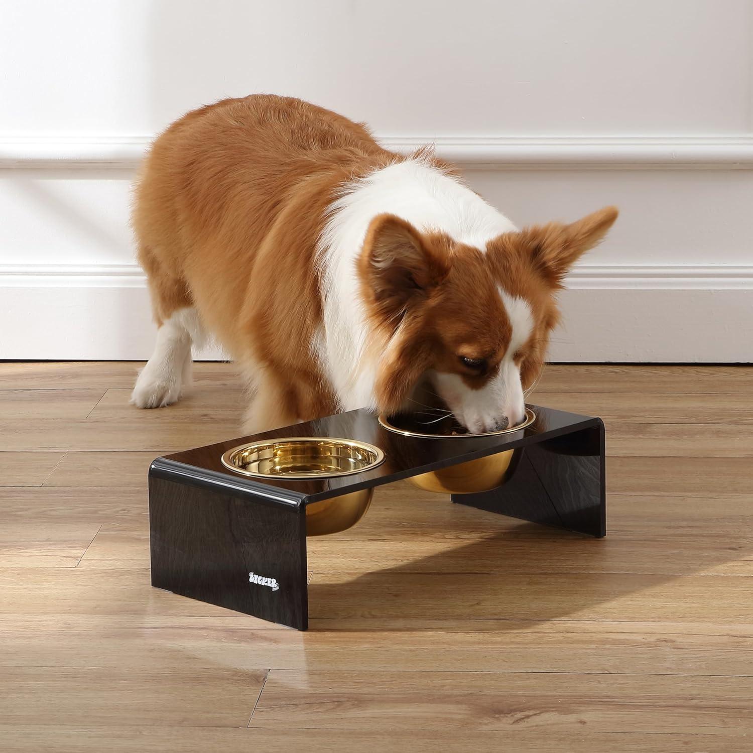 THE LICKER STORE Keaton Modern Lucite Rectangular Elevated Pet Feeder with 2-Stainless Steel Bowls