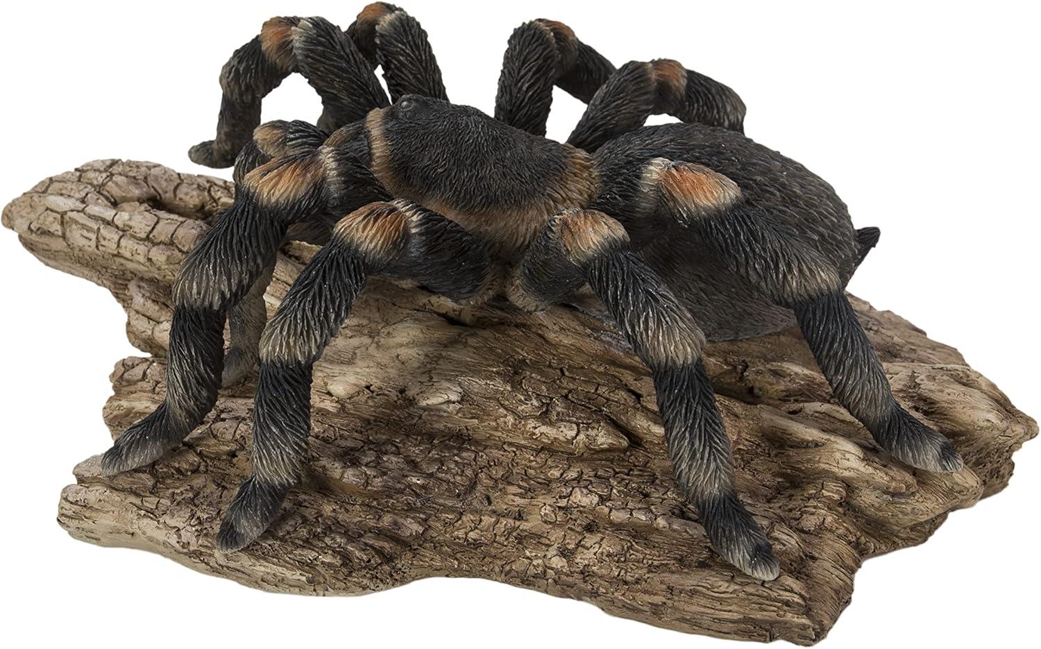 TARANTULA