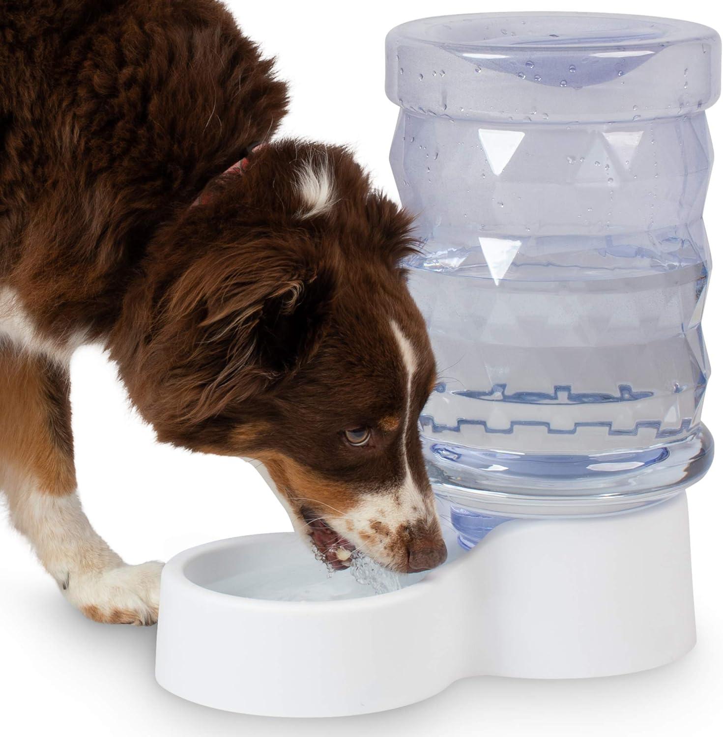 20oz. Automatic Water Dish