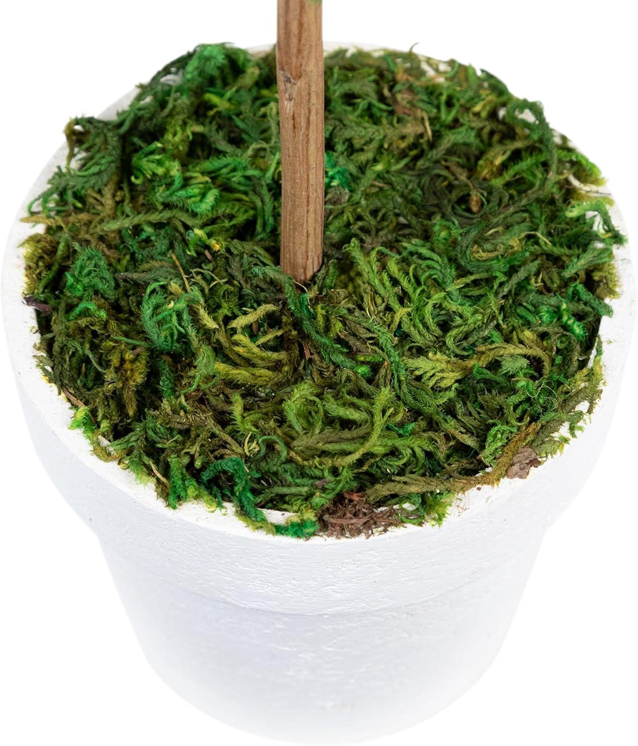 Northlight Seasonal Green Reindeer Moss Ball Potted Artificial Spring Topiary Tree