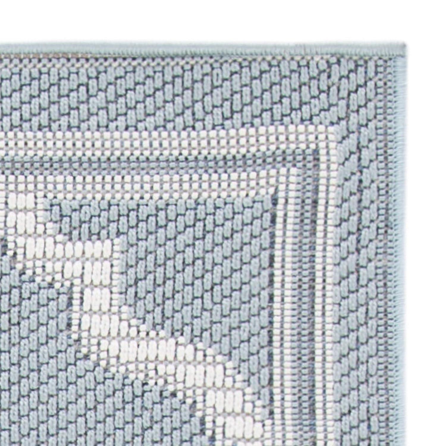 Bermuda BMU810 Power Loomed Indoor/Outdoor Machine Washable Area Rug - Light Blue/Ivory - 5'3"x7'6" - Safavieh