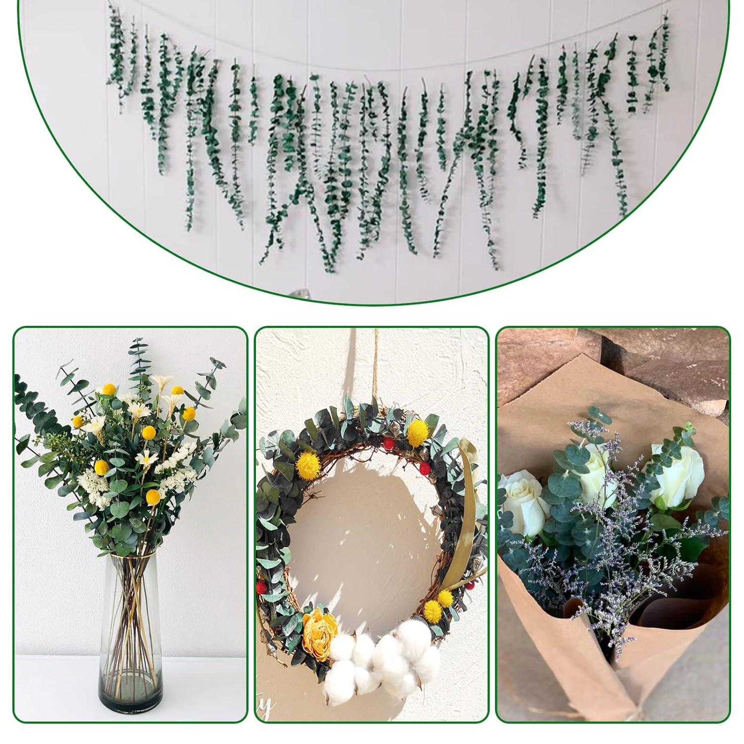 20Pcs Dried Eucalyptus Stems, Trianu 17" Natural Fresh Eucalyptus Branches for Shower, Real Plant for Vase Filler, Dried Flowers Arrangement, Floral Home Decor, Green