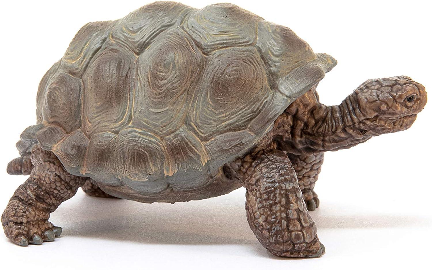 Schleich 9060819 Plastic Wild Life Giant Tortoise Toy, Beige & Brown - Pack of 5