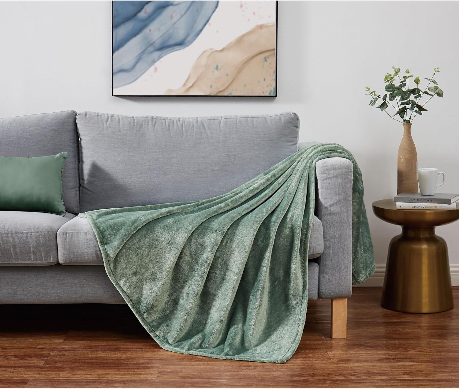 Cannon Solid Plush Throw Blanket