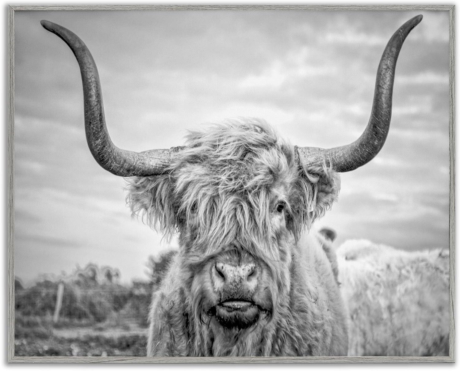 Stupell Industries Black and White Highland Cow Photograph