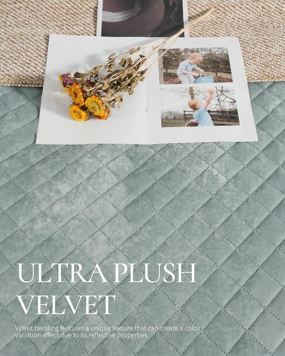 Royal Velvet Diamond Velvet Quilt Set