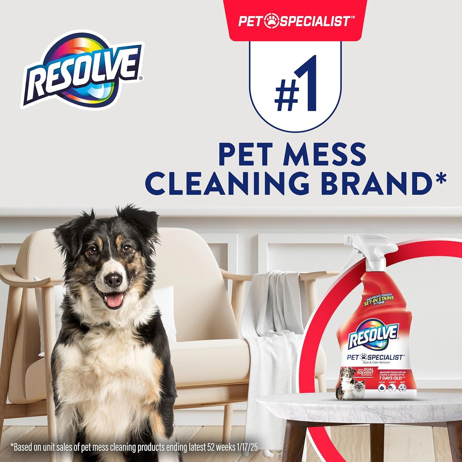 Resolve Pet Stain Remover Spray - 22oz