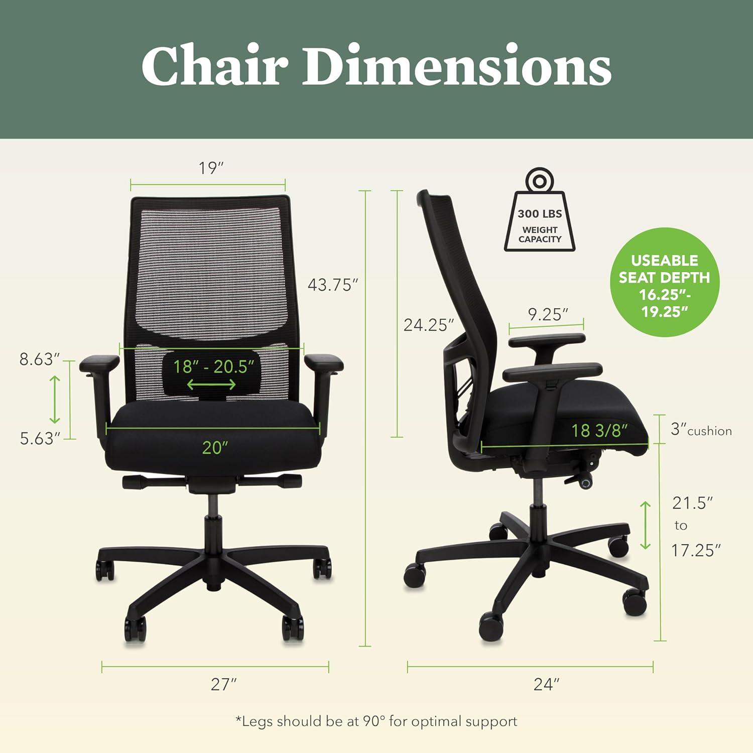 HON Ignition 2.0 Ergonomic Office Chair - Lumbar Support, Comfortable for Long Hours