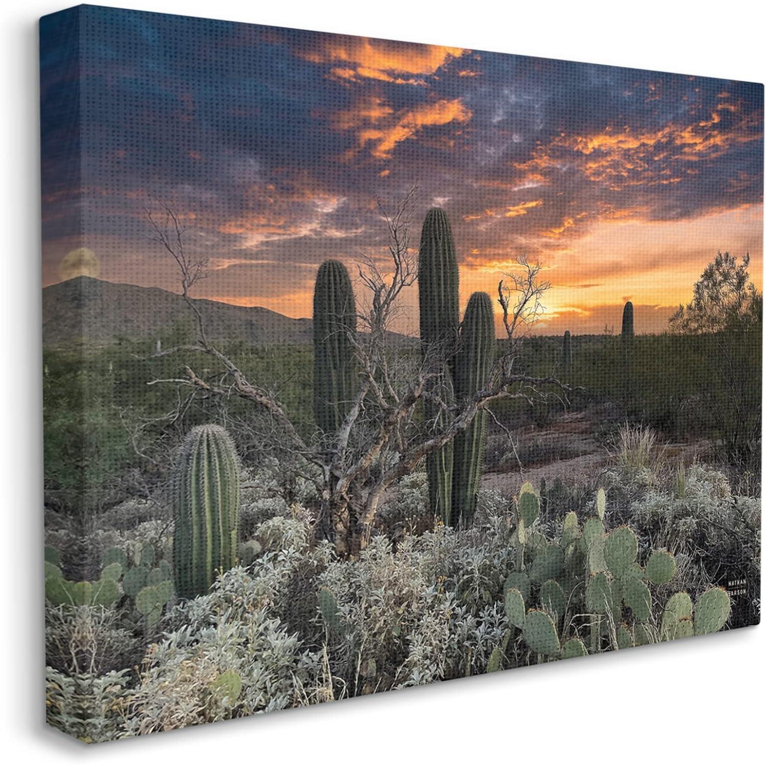 Stupell Industries Arid Desert Cactus Sunset Photograph Gallery Wrapped Canvas Print Wall Art, Design by Nathan Larson