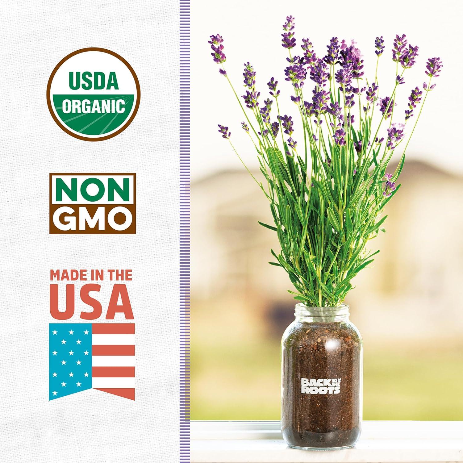 Back to the Roots Organic Lavender Grow Kit