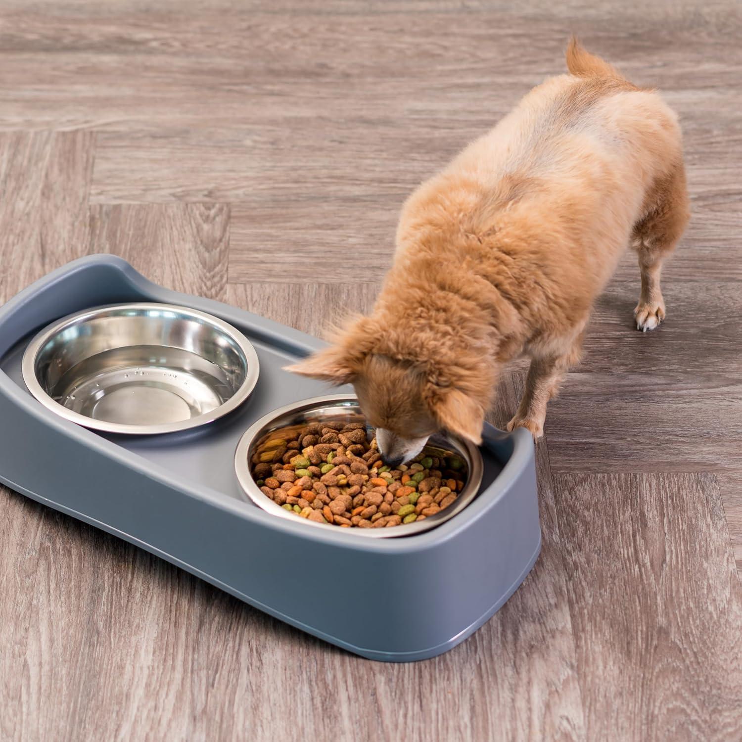 Gray Plastic Elevated Feeder with Stainless Steel Bowls