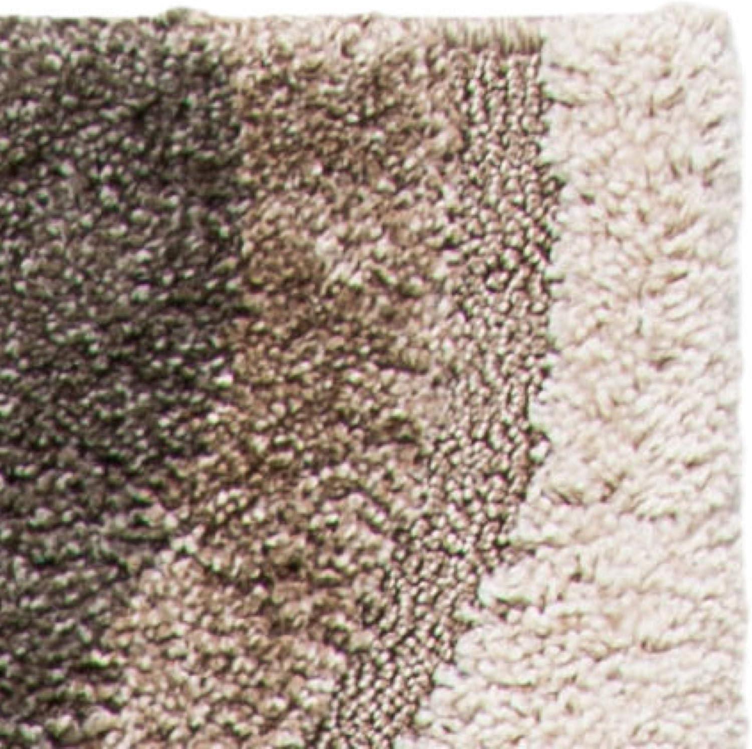 Florida Shag SG461 Power Loomed Rugs - Safavieh