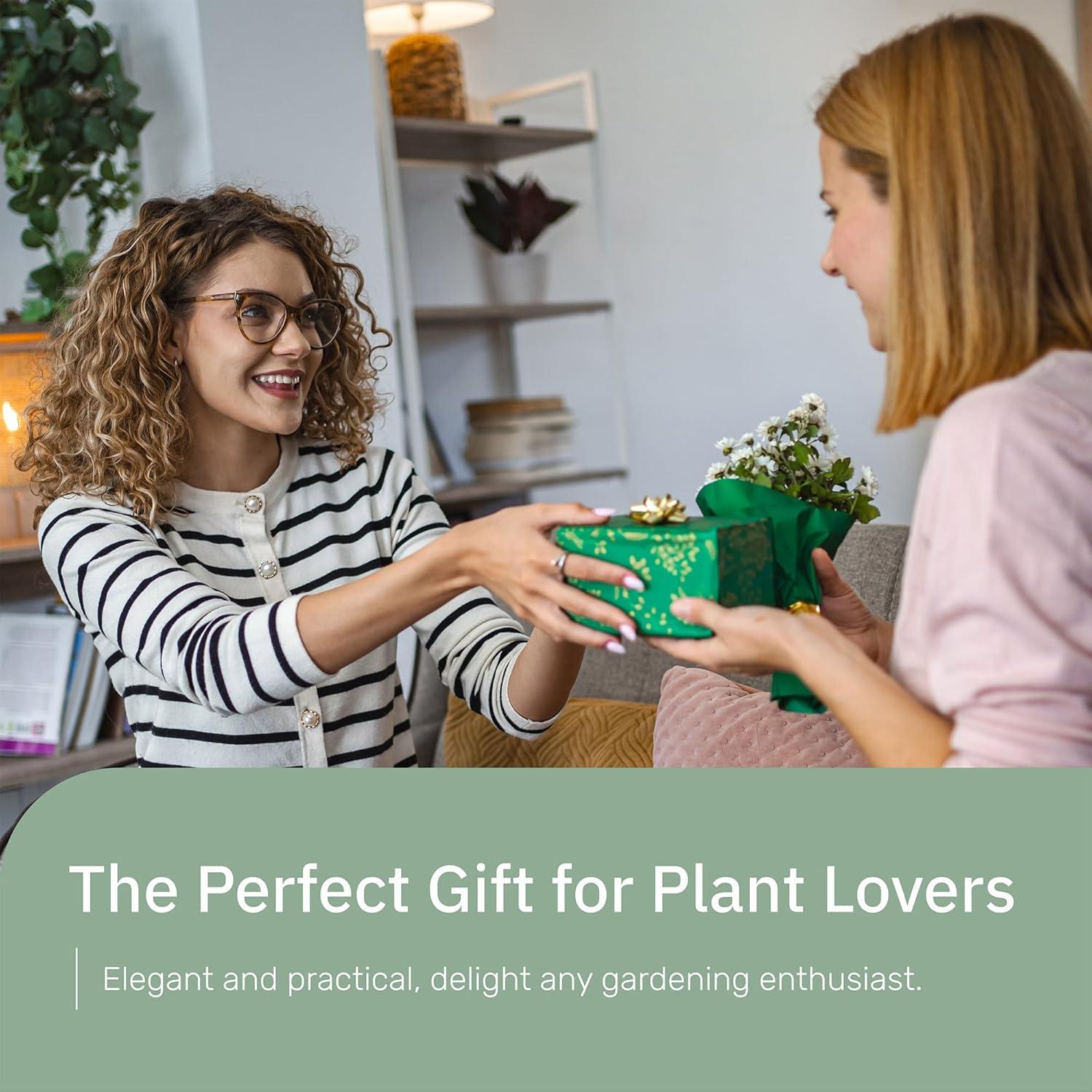 Glass Plant Mister for Inside, Mister for Plants, Plant Sprayer Mister, Decorative Plant Mister Spray Bottle with Adjustable Nozzle for Indoor Plants (230ml/ 7.8oz) - Clear