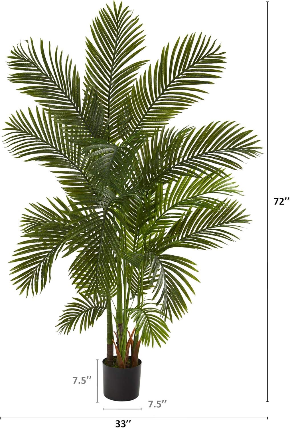 Tropical Summer 6' Lush Areca Palm in Nursery Planter