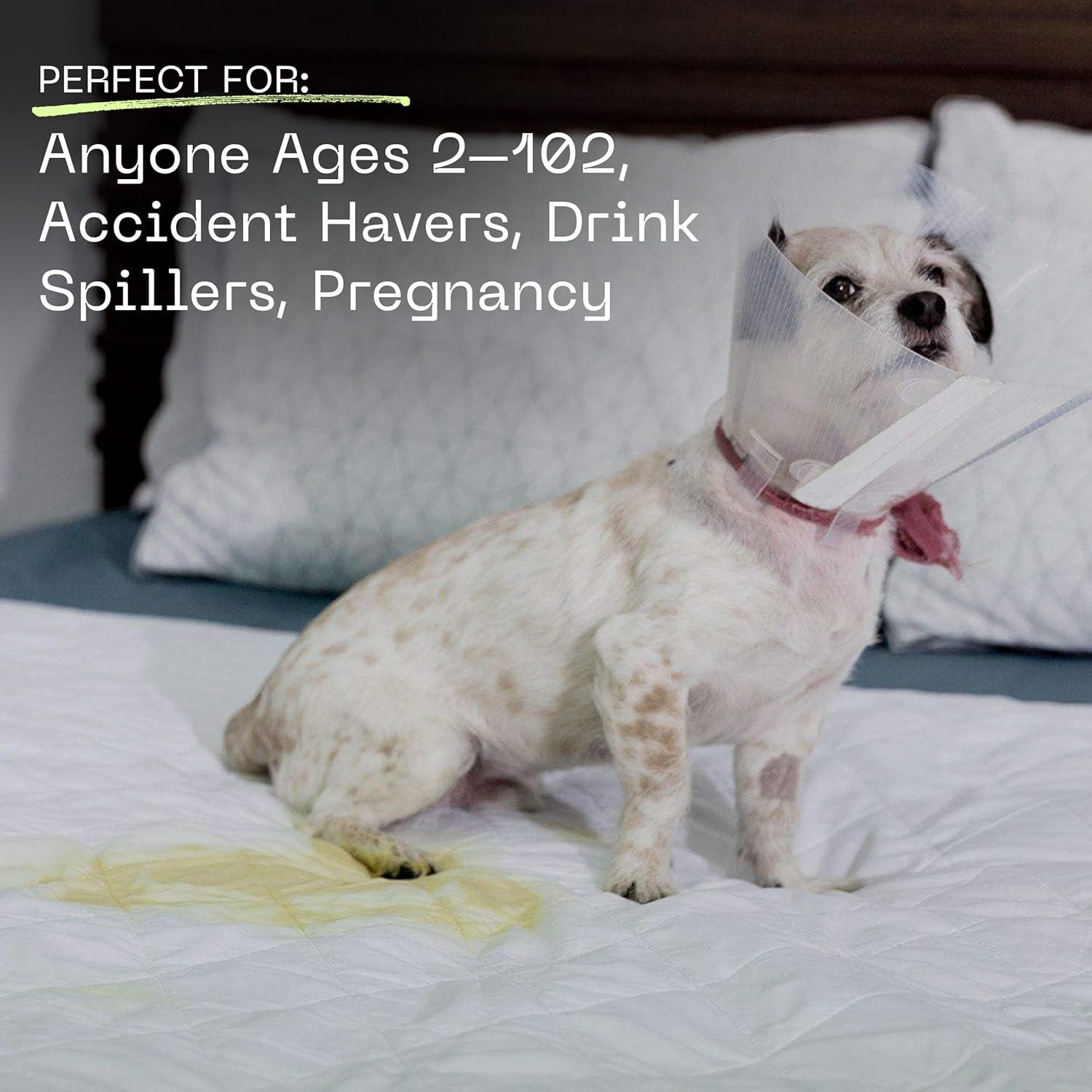 Coop Home Goods Queen Waterproof Mattress Protector Sheet