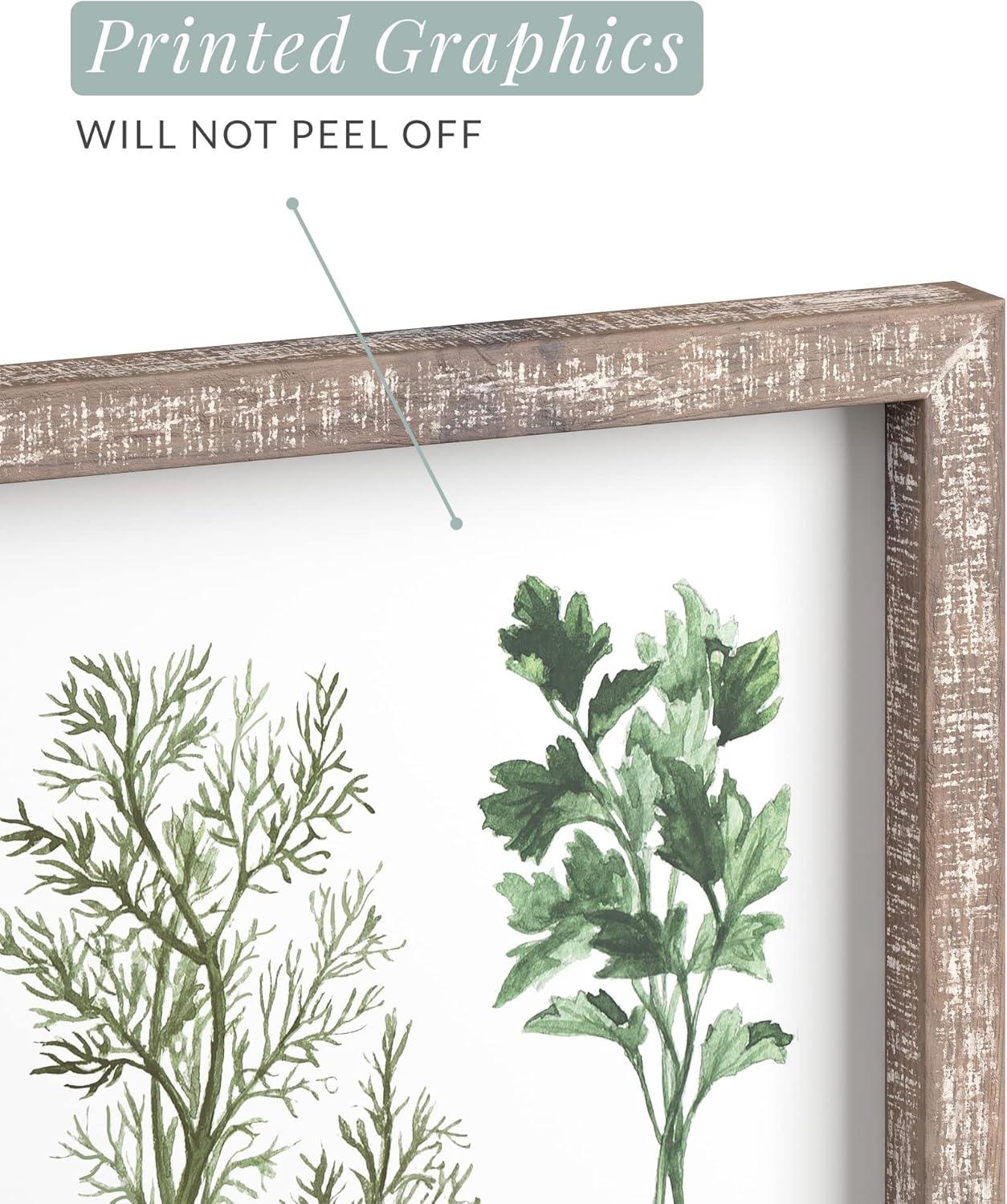 Barnyard Designs Kitchen Herbs and Spices Wall Art Decor Botanical Print Sign Rustic Country Farmhouse Wood Plaque Framed Home Wall Decor 12" x 16" (Herbs B / 1 Sign)