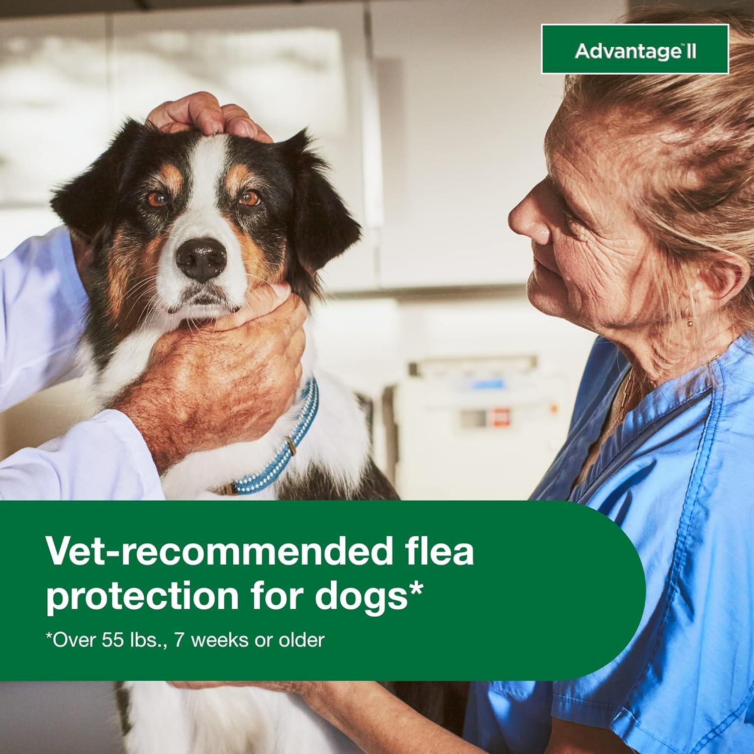 Advantage II Vet-Recommended Flea Prevention for XL Dogs 55 lbs+, 6-Monthly Treatments