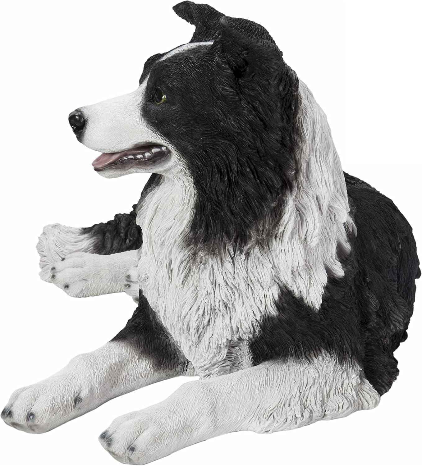 Lying Border Collie