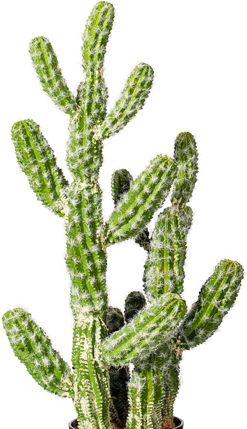 Vickerman 31" Artificial Green Potted Cactus.