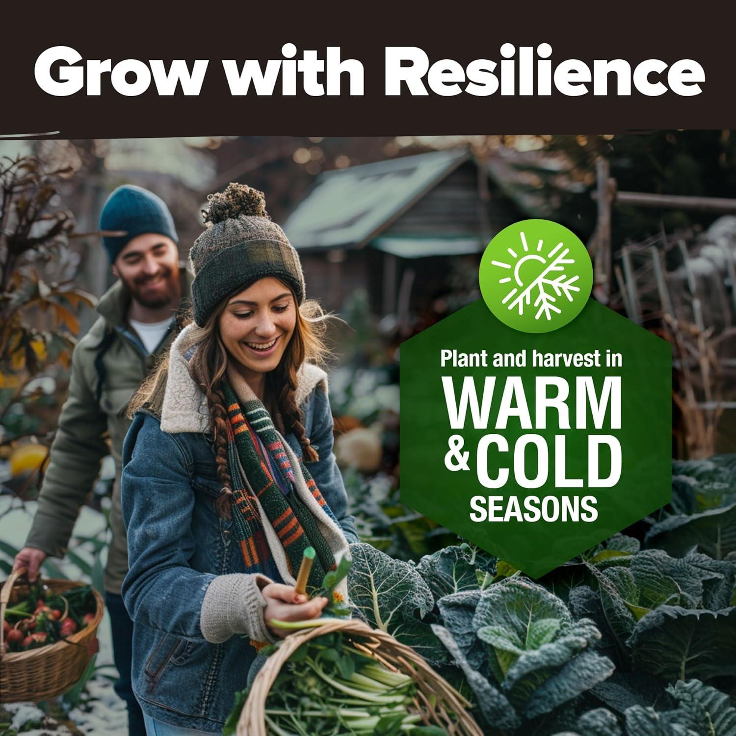 Heirloom Vegetable Seeds -10 Variety - Non GMO Vegetable Seeds For Planting Indoor or Outdoors, Brussel Sprouts, Carrots, Peppers, Cucumber, Kale, Romain, Peas, Radish, Tomato Seed - Home Garden Seeds