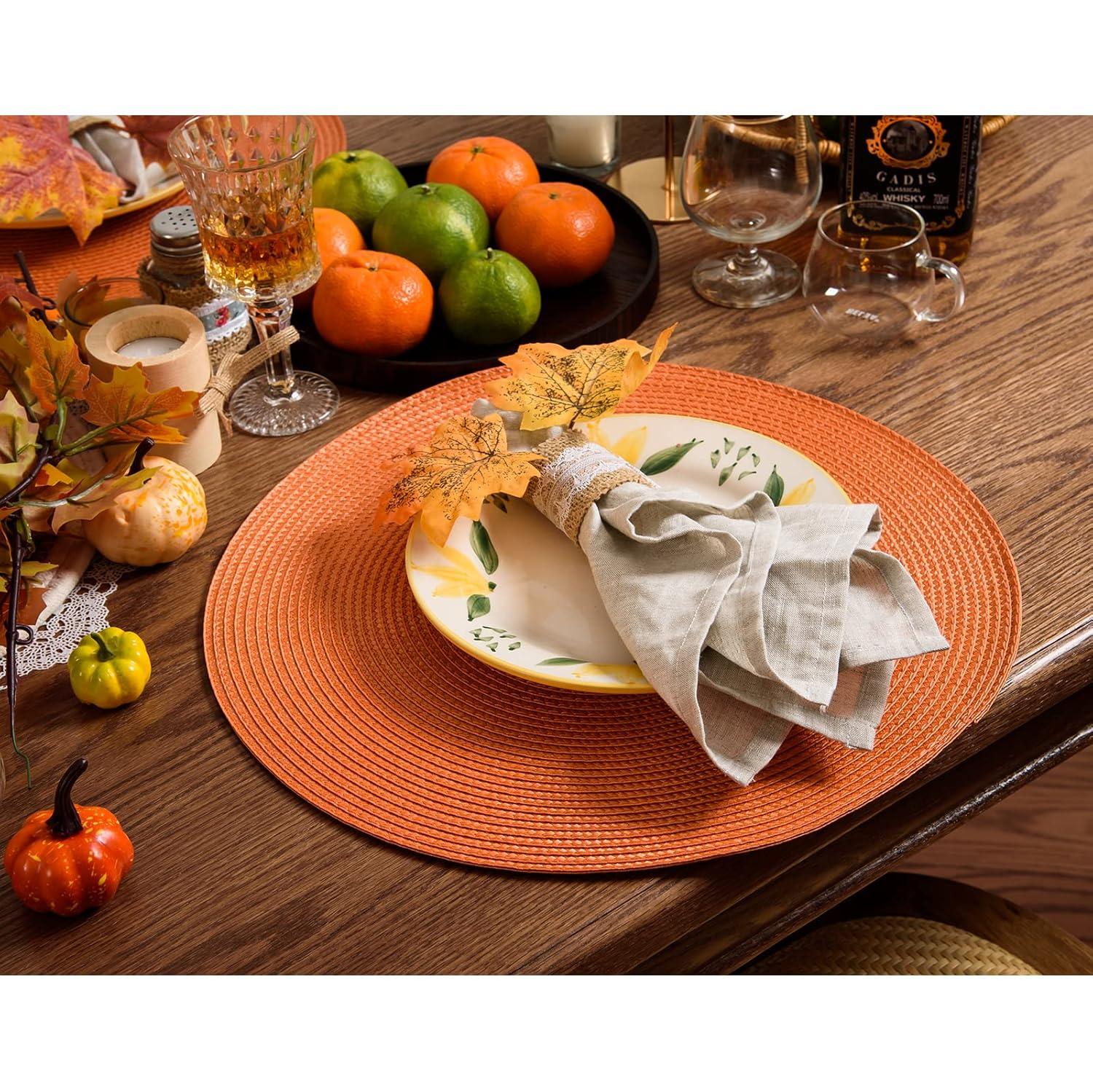 Gracie Oaks Eufracio 15" Placemat & Reviews | Wayfair