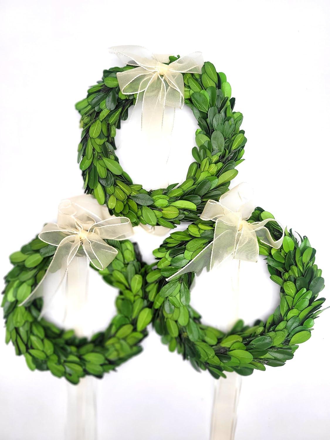 Ophelia & Co. Preserved Mixed Assortment 8'' Wreath (Set of 3)