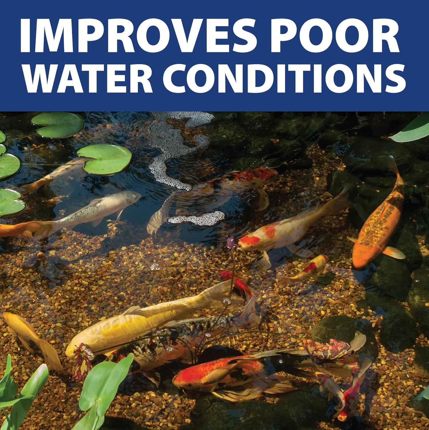 The Pond Guy InstaFix Algae Control, Outdoor Water Garden, Fountain & Birdbath Algae Solution, EPA Registered Liquid Algaecide, Control Green Water & String Algae, Bird, Fish & Pet Safe, 16 OZ