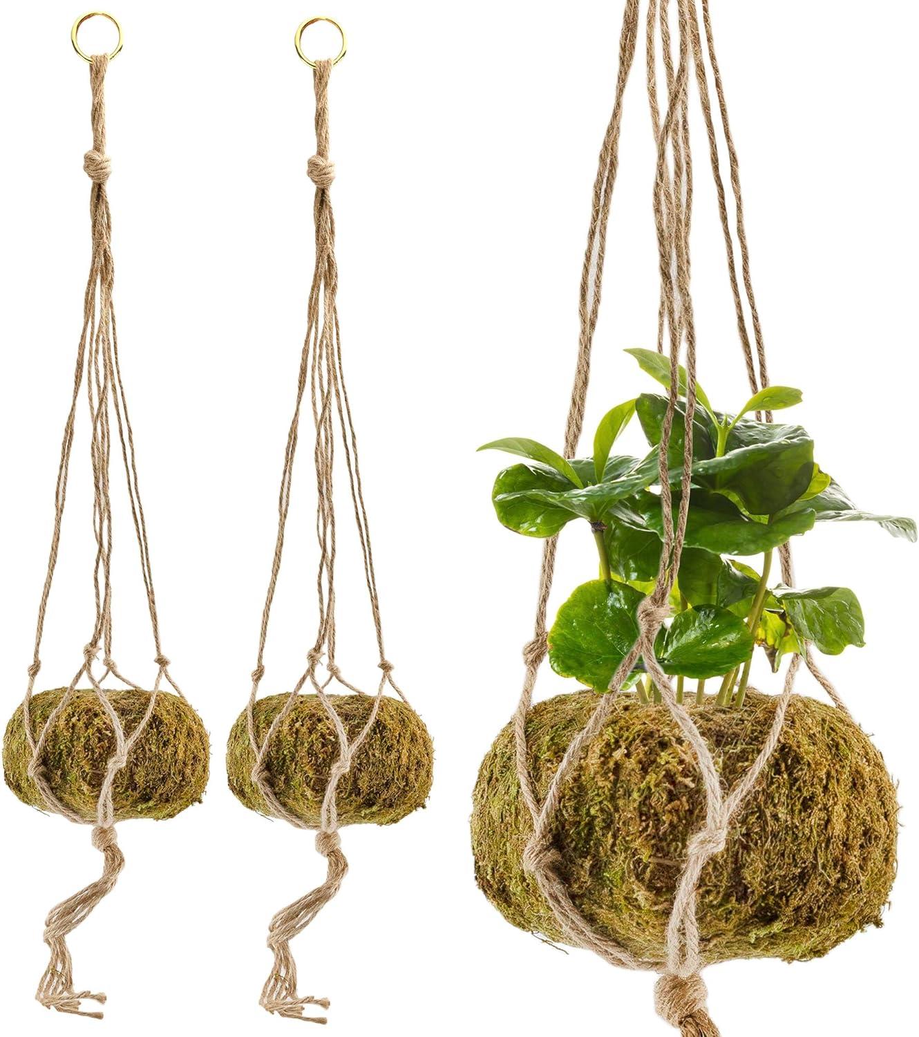 Esterno Kokedama Hanging Planter Kits, 3pk; Japanese Moss Ball Plant Holder