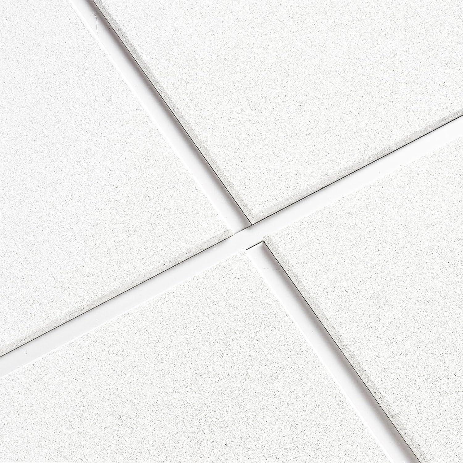 Ceiling Tile,24" W,24" L,3/4" Thick,PK12