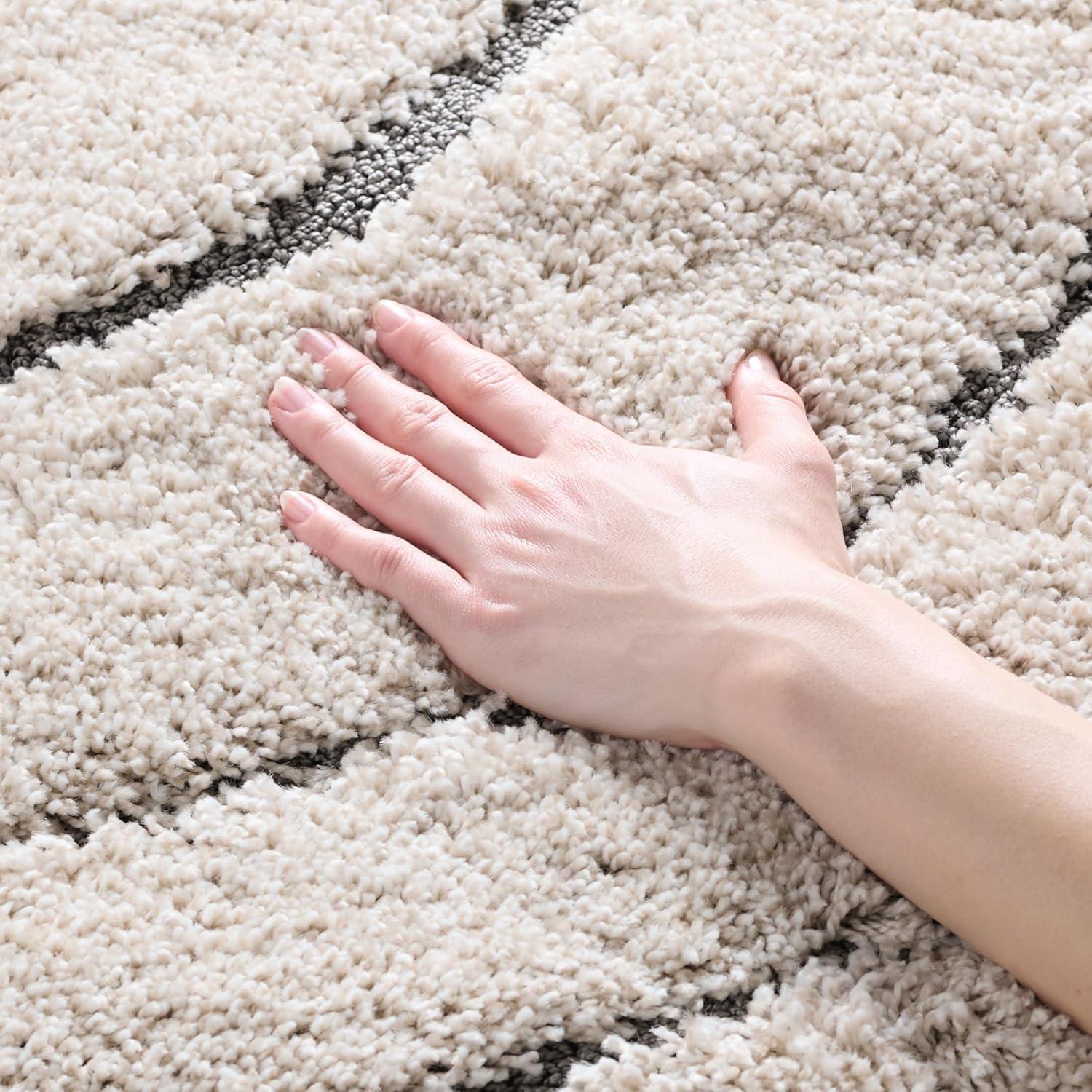 Florida Shag SG472 Power Loomed Indoor Accent Rug - Cream/Grey - 4'x6' - Safavieh