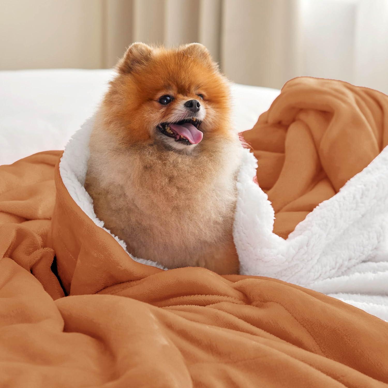 Bedsure Bedsure Sherpa Fleece Blankets For Bed - Thick And Warm Blanket For Winter, Soft Fuzzy Plush Blanket For All Seasons