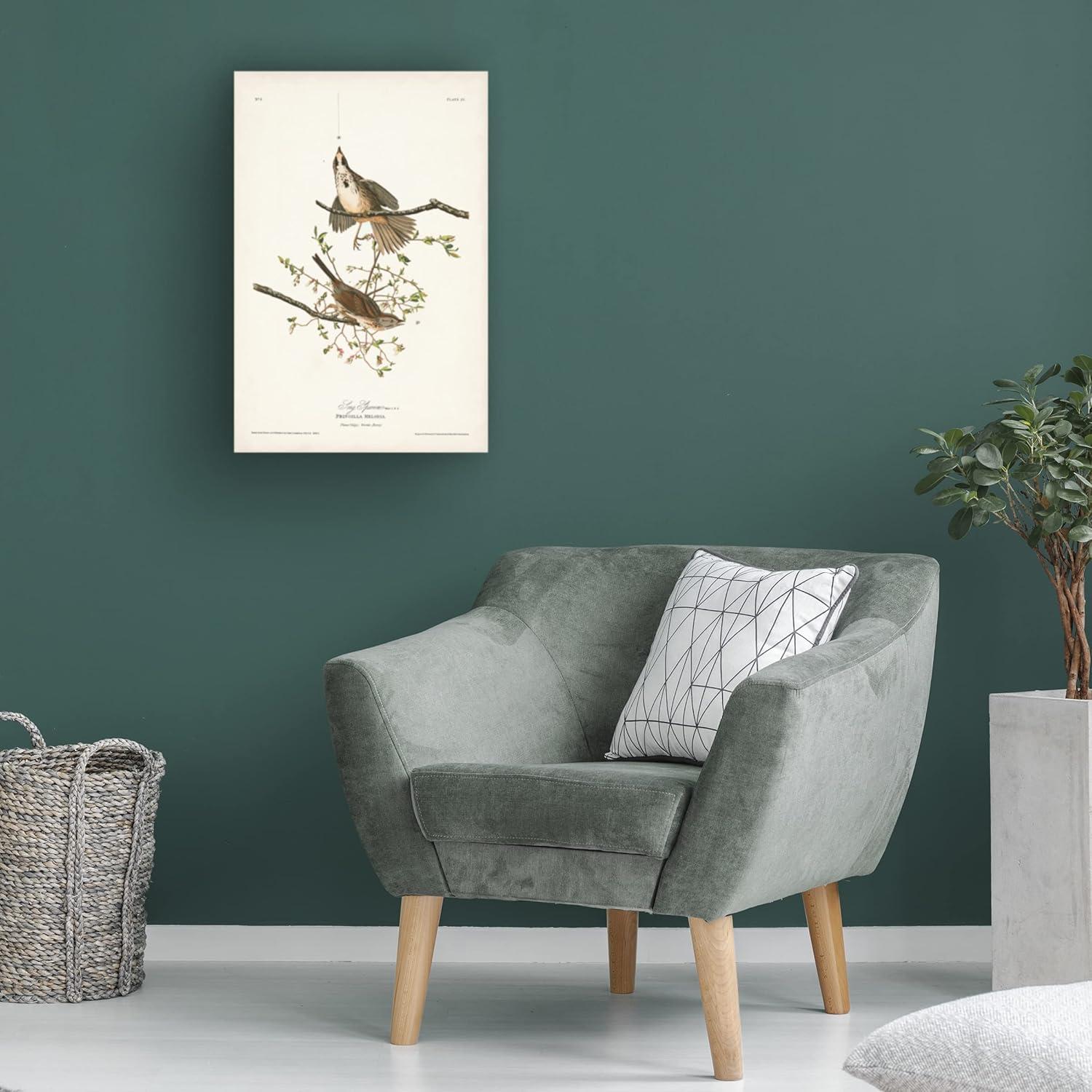 John James Audubon 'Song Sparrow' Canvas Art