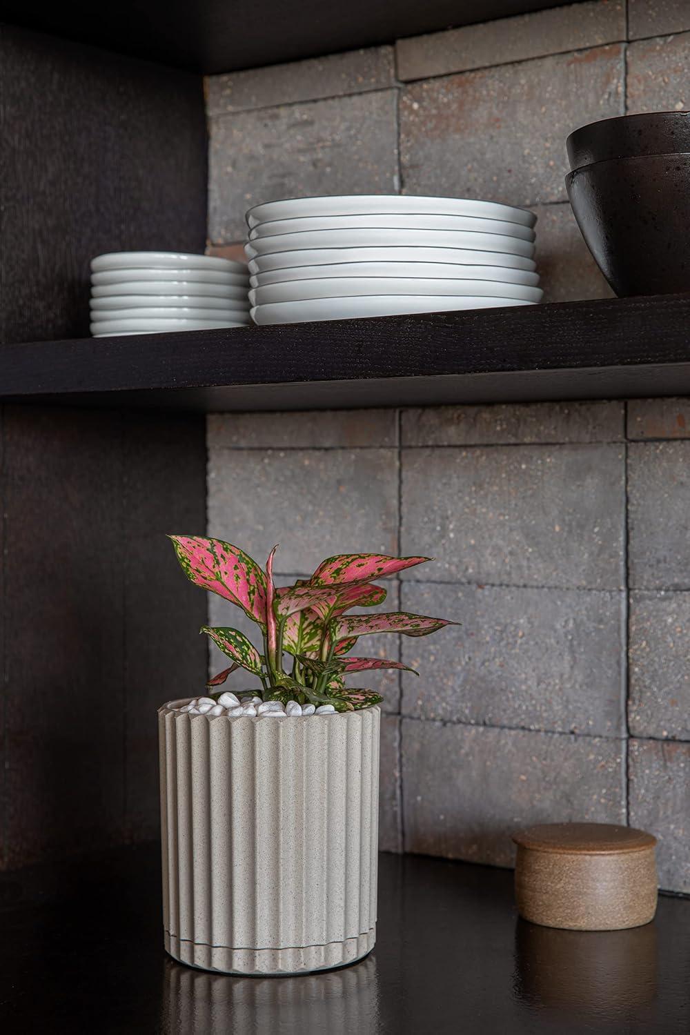Veradek Mason Series Demi 6" Plastic-Stone Planter 2-Pack Sand