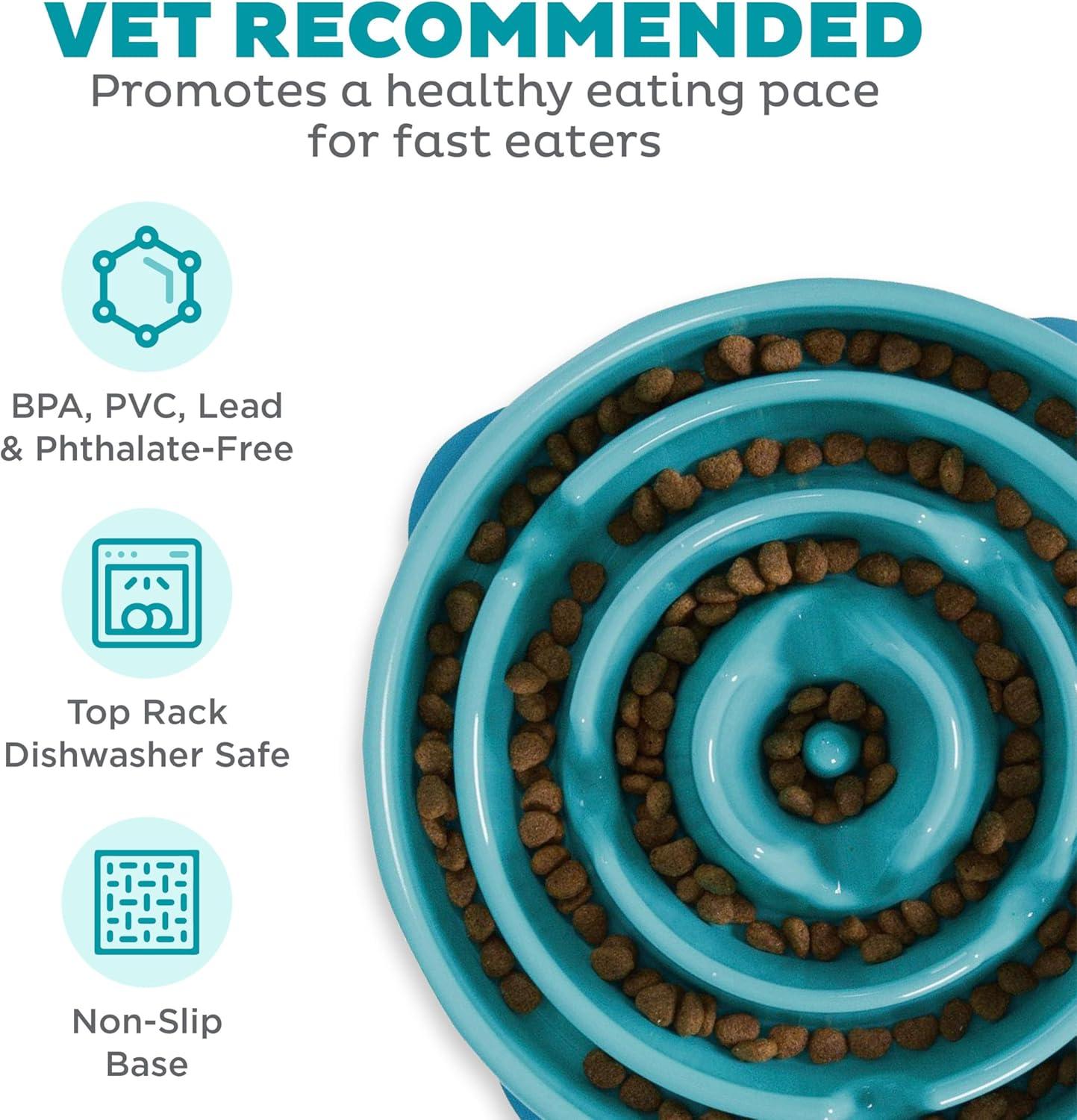 Outward Hound Outward Hound Fun Feeder Slow Bowl, Slow Feeder Dog Bowl