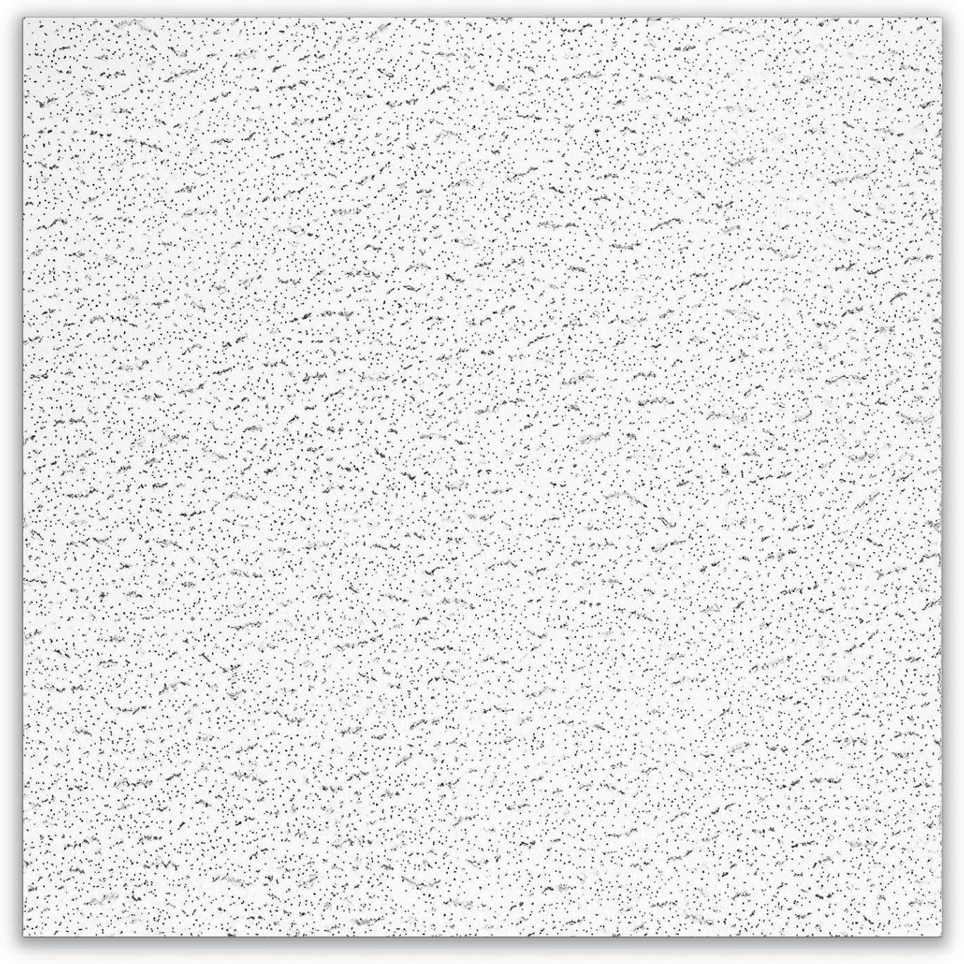 Armstrong 2x2 TEXTURED Acoustic Ceiling Tiles for Suspended Ceiling Grids, 16-tiles per pack, White