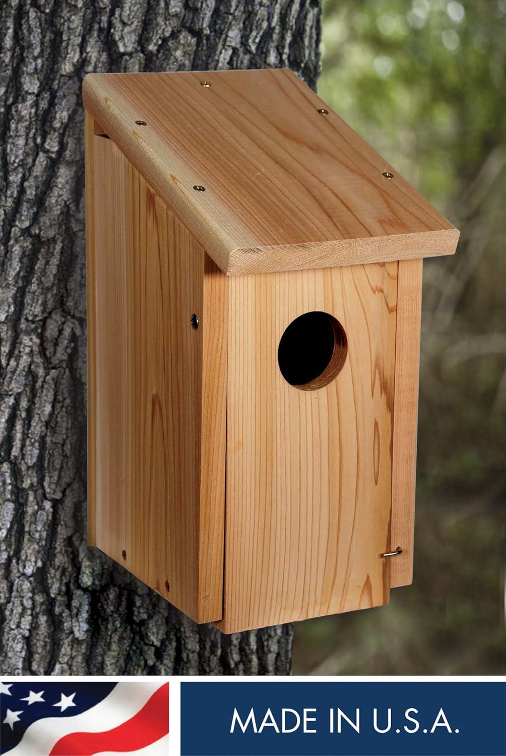 15'' H x 7'' W x 9.5'' D Wall Birdhouse