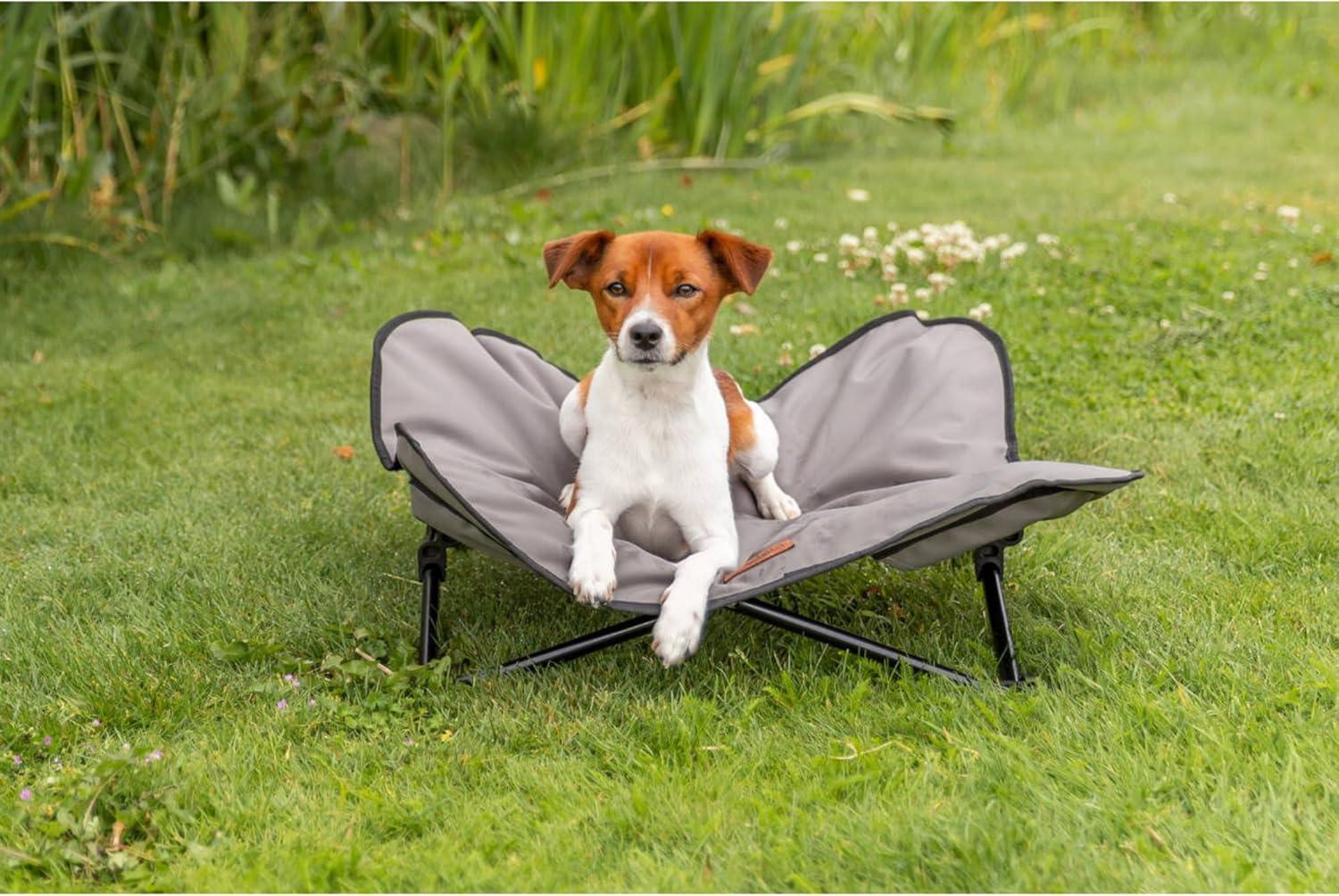 TRIXIE TRIXIE Camping Cot for Dogs, Elevated Dog Bed, Folding Padded Pet Bed, Raised Travel Lounger for Dogs