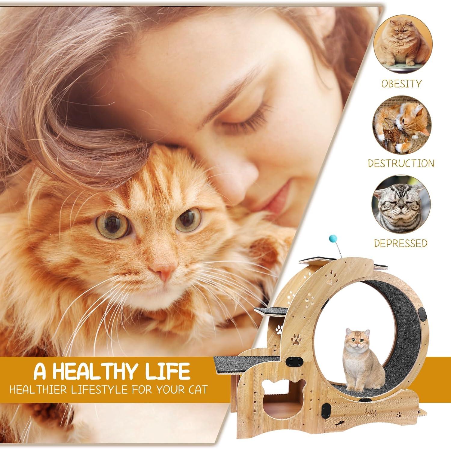 CuisinSmart Cat Running Wheel Nature Wood Kitty Large Wooden Running Wheel Pet Toy Cats Loss Weight Device Cat Rotating Wheel 4 in 1 Ultra Quiet Large Cat Wheel Exercise Treadmill